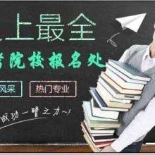 成都金牌思维 专业教育咨询服务，点亮智慧成长之路